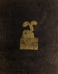 Cover of Peter Parley's Wonders of the Earth, Sea, and Sky — A Closer Reading
